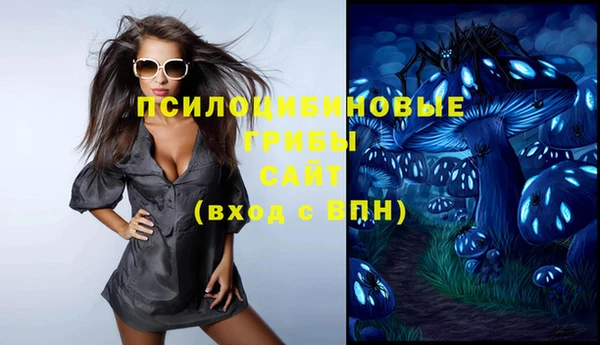 ПСИЛОЦИБИНОВЫЕ ГРИБЫ Володарск