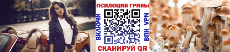 Галлюциногенные грибы Psilocybe  Карасук 